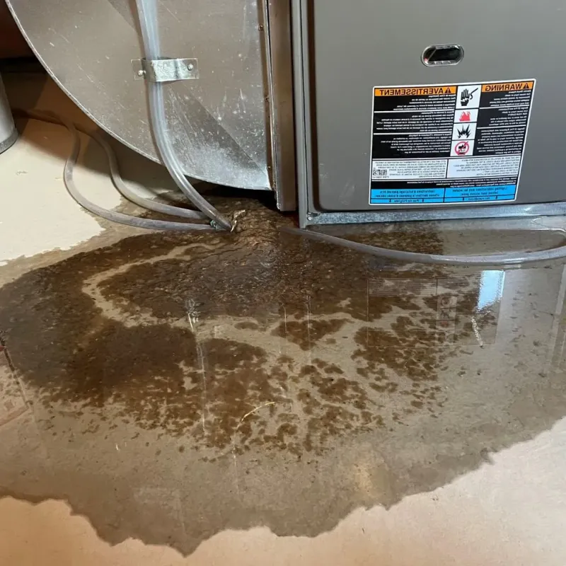 Pipe Burst and Leak Restoration in West Hazleton, PA