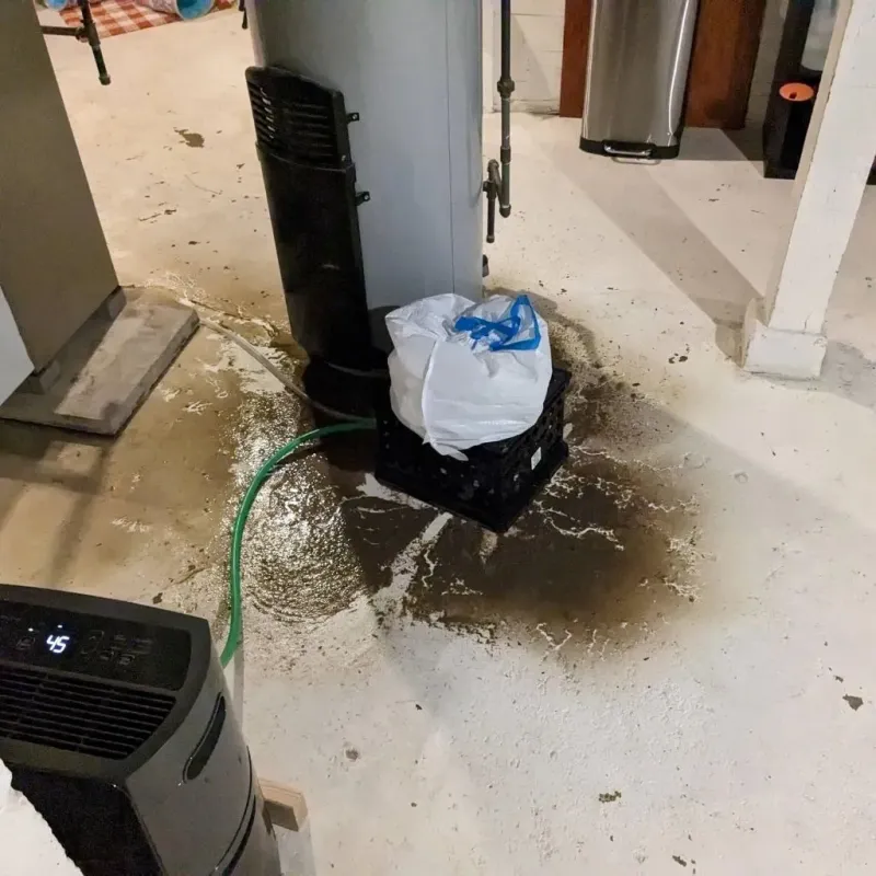 Sewage Backup Cleanup Service in West Hazleton, PA